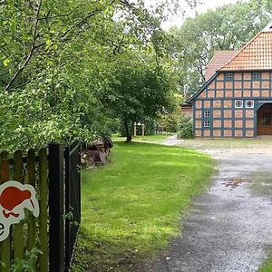 Kiwilodge